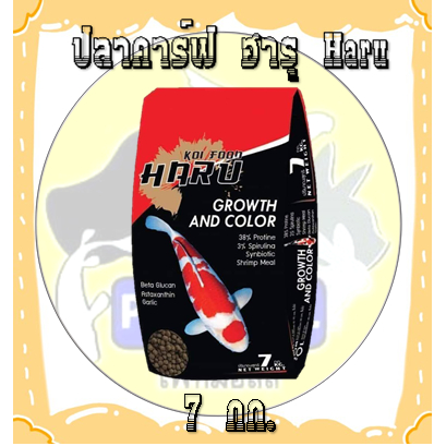 ปลาคาร์ฟ ฮารุ Haru 7 กก.