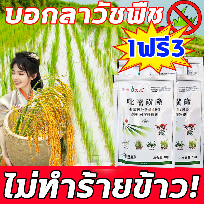 🌾ผงโรยพร้อมกับปุ๋ยได้ ไม่ต้องผสมน้ำ 🌾ยาคุมหญ้า ยาฆ่าหญ้าในนาข้าว ได้100% ยาคุมหญ้าข้าว ชีวภาพ ดูดซึม เผาไหม้