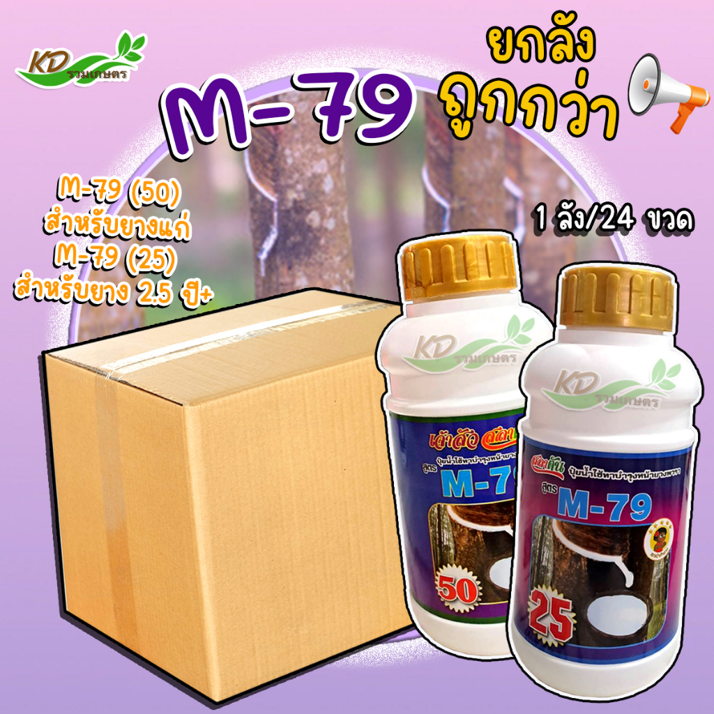 👉ยกลัง ยาทาหน้ายาง M-79  เร่งน้ำยางและเพิ่มปริมาณยาง บำรุง ตราเงาะป่าห้าดาว ขนาด 500 ซีซี