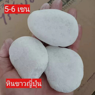 หินขาวญี่ปุ่น 1กิโล คัดพิเศษ หินโรยหน้ากระถาง หินตู้ปลา หินแคคตัส หินแม่น้ำ