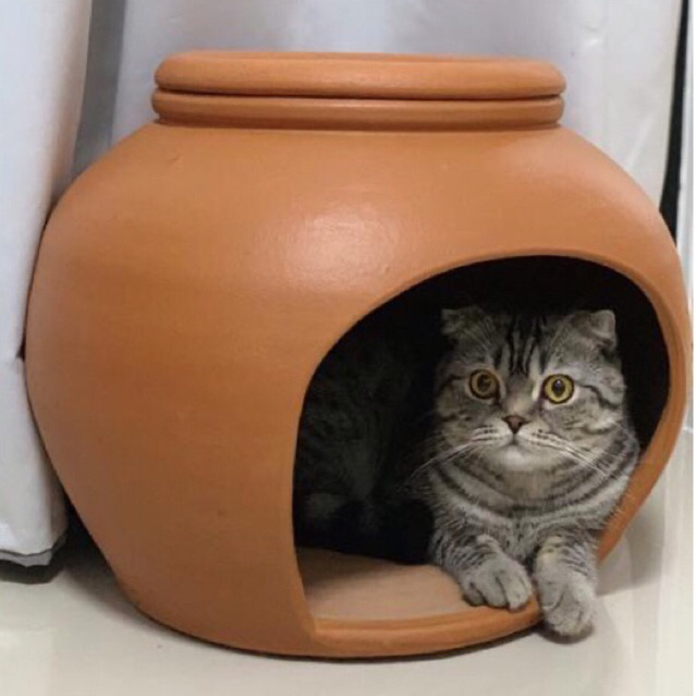 โอ่งแมว ขนาด16นิ้ว วัดตอนเผาสุก💢ฟรีฝาปิดถาดน้ำแข็ง💢อ่านรายละเอียดก่อนกดสั่งนะคะ