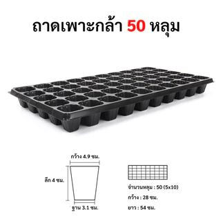 ถาดเพาะกล้า ถาดหลุม ถาดเพาะชำ ยกกล่อง 100 ใบ หนา 0.8 มิล ขนาด 21, 32, 50, 72, 105, 162, 200 หลุม