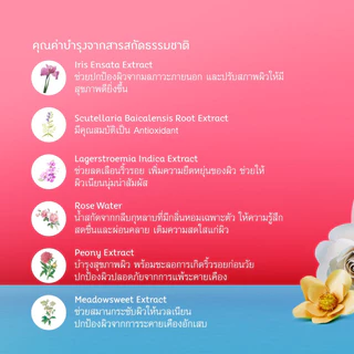 สุดคุ้ม!! แพ็ค 3ชิ้น โอเรียนทอล Oriental Princess Beauty