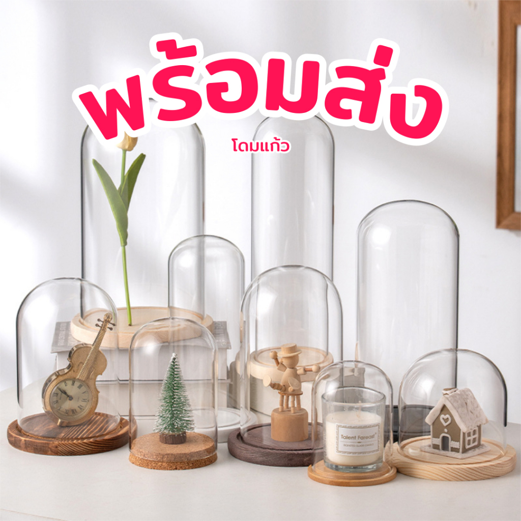 [พร้อมส่ง] โดมแก้ว ฐานไม้ โดมพระ แก้วหนา คัดเกรด Glass Dome โชว์ของที่ระลึก โมเดล ดอกไม้ ของแต่งบ้าน