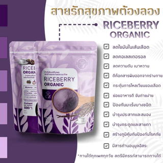 จมูกข้าวไรซ์เบอร์รี่ 2 แถม 2 + แถมฟรีแก้วเชค 1 ใบ ถุงละ 500 กรัม