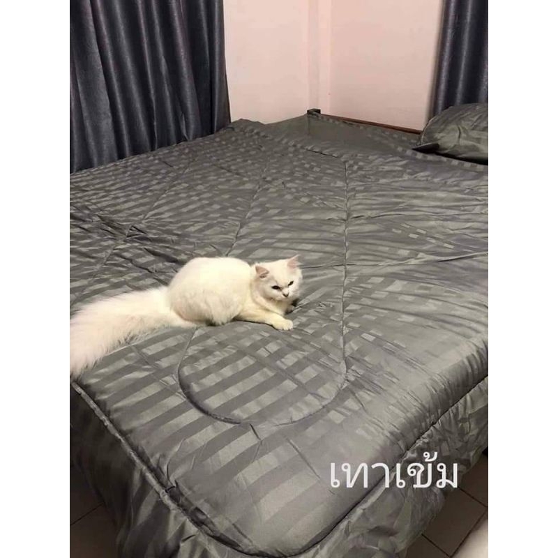 ผ้าปู 6 ฟุต 7 ฟุต 8 ฟุต มุมสูง 15 นิ้วและ 17 นิ้ว รูปที่ 3