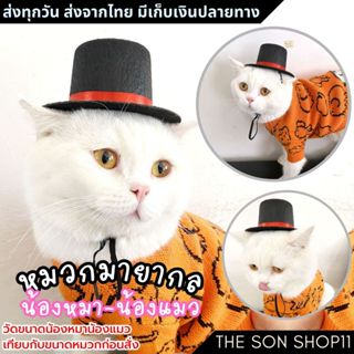 หมวกมายากลแมว หมวกหมา พร้อมส่งจากไทย เก็บเงินปลายทางได้