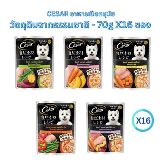 อาหารสุนัขเปียก CESAR กับ CESAR Craft ซีซาร์ ขนาด 70gX16 ซอง