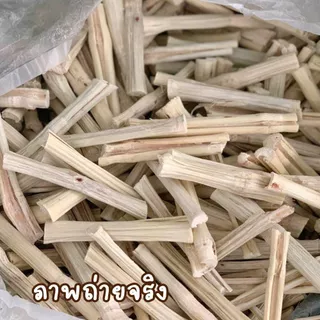 พร้อมส่ง ส่งไว!! 🔥🔥ไผ่หวาน อบแห้ง ลับฟัน สัตว์แทะ ขัดฟัน สำหรับ กระรอก หนู กระต่าย ชูก้า สัตว์เล็ก sweet bamboo แพรี่ด็