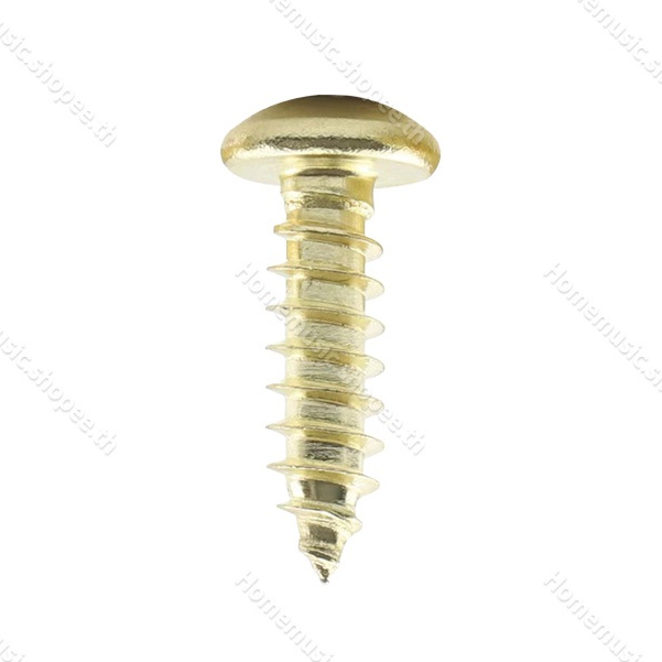 1ตัว สกรูลําโพง M3*14mm น็อตประกอบตู้ลำโพง สกรู น็อตเกลียวปล่อย น็อต น็อตทอง น็อตหัวกลม สกรูเกลียวปล่อย สกรูลำโพง