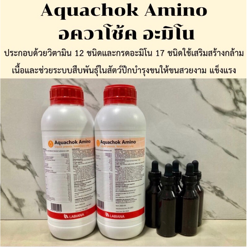 Aquachok Amino วิตามินรวมและกรดอะมิโนที่จำเป็น แบ่ง50ml