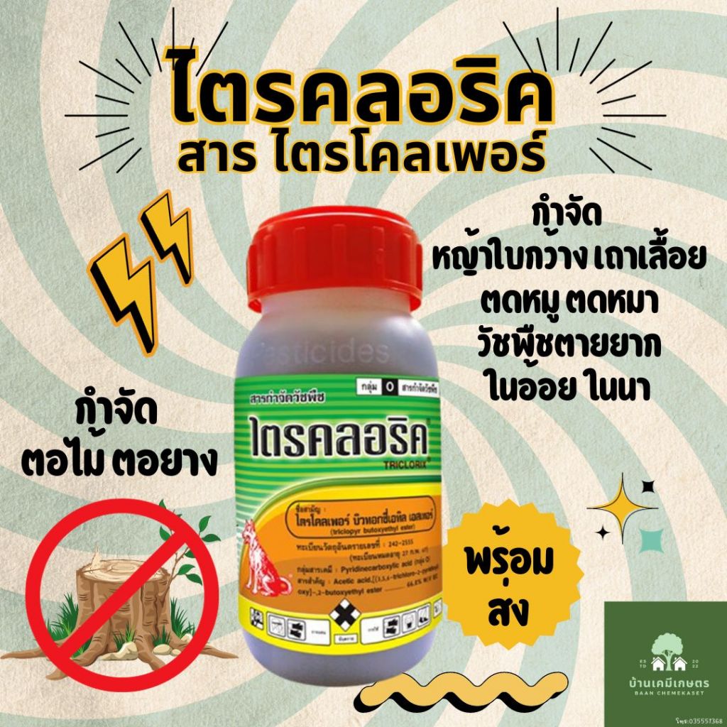 ไตรคลอริค สารไตรโคลเพอร์ 250 ซีซี สารกำจัดตอไม้ ตอยาง สารทำลายตอไม้ วัชพืชตายยาก