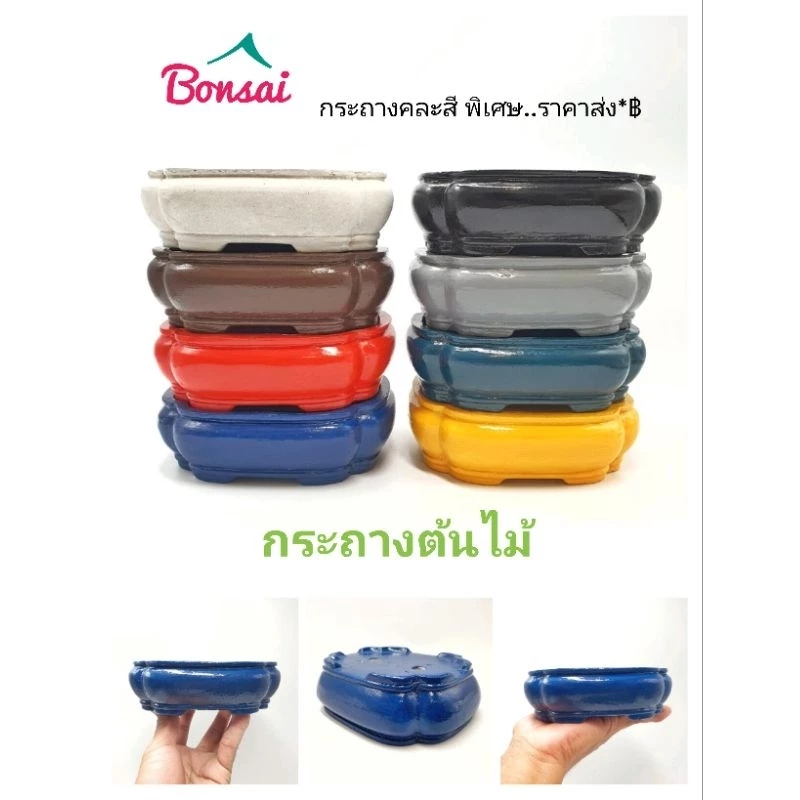 กระถางต้นไม้ กระถางบอนไซ กระถางปูนเคลือบเงา สีสันสดใส ทนแดดทนฝน