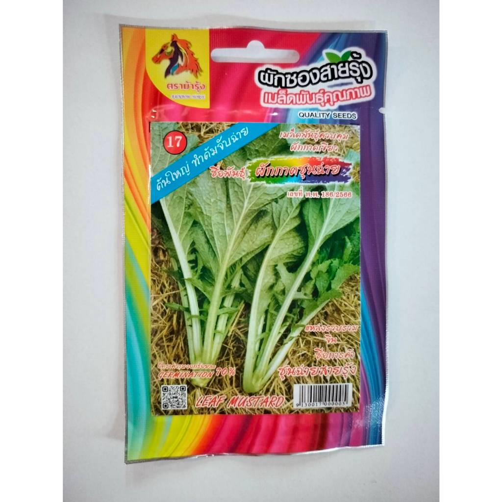 ม้ารุ้ง ผักซอง Z017# ผักเขียวน้อย ใบใหญ่ ชุนฉ่าย เมล็ดพันธุ์ เมล็ดพันธุ์ผัก เมล็ดพันธุ์ ผักสวนครัว ตราม้ารุ้ง