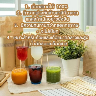 P216 หลอด หลอดฟางข้าว เป็นมิตรต่อสิ่งเเวดล้อม ( 100 ชิ้น ) หลอดธรรมชาติ หลอดรักษ์โลก ลดโลกร้อน SP