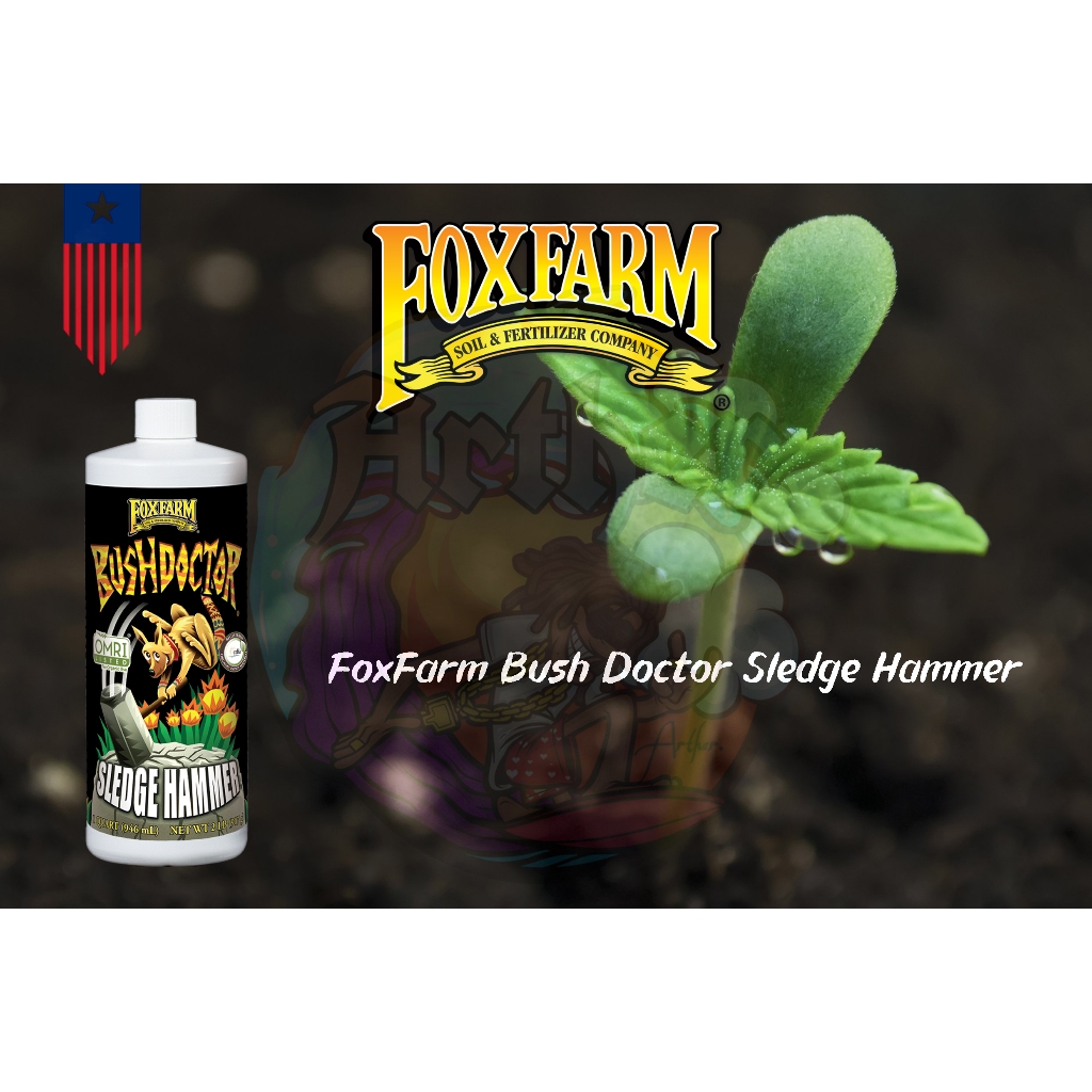 FoxFarm Bush Doctor Sledge Hammer เน้นเร่งไตรโคมและกลิ่นให้ชัดเจน 473 ML.