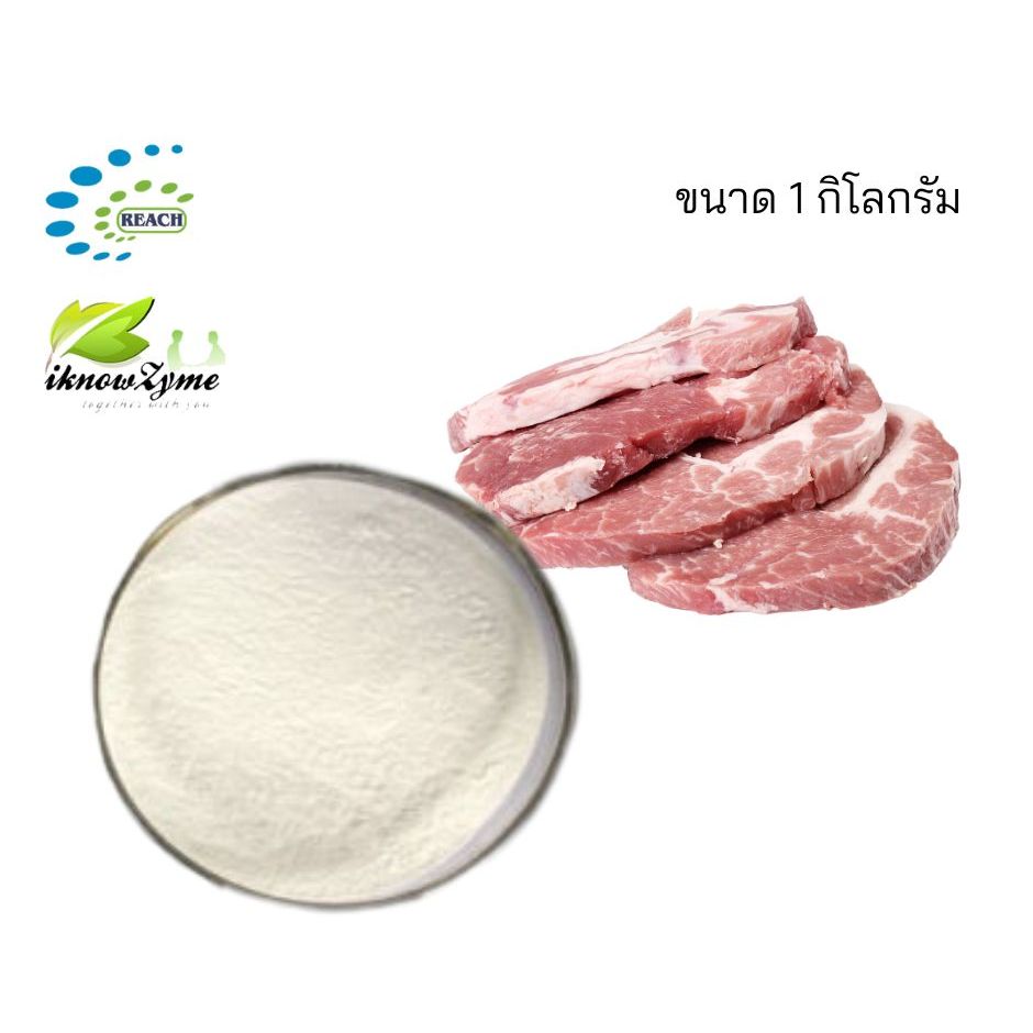 iKnowZyme TG  เอนไซม์ Tranglutaminase ขนาด 1 กิโลกรัม