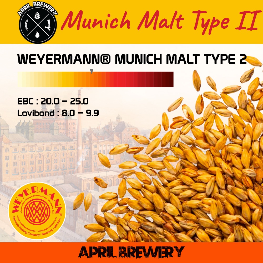 มอลต์ Munich Malt Type 2 (II) Weyermann Malt ทำเบียร์ จาก Germany ขนาด 1 ปอนด์ Homebrew