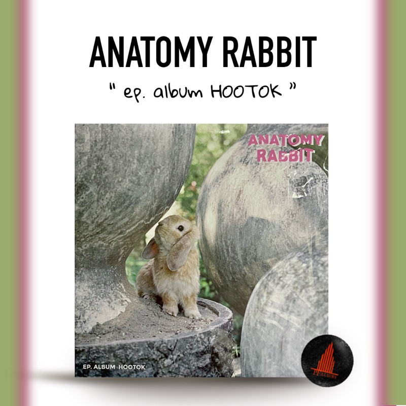 แผ่นเสียง Anatomy Rabbit