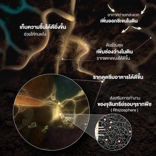 แบล็คเอิร์ธ แบ่งขาย 5โล ฮิวมิกผง คุณภาพสูง ละลายน้ำ100% ใส่ถุงซิป