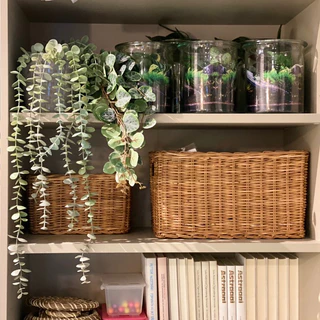 [เก็บโค้ดก่อนสั่ง] ส่งเร็ว อิเกีย แท้💯 ต้นไม้ปลอม ไม้เลื้อย พร้อมกระถาง IKEA