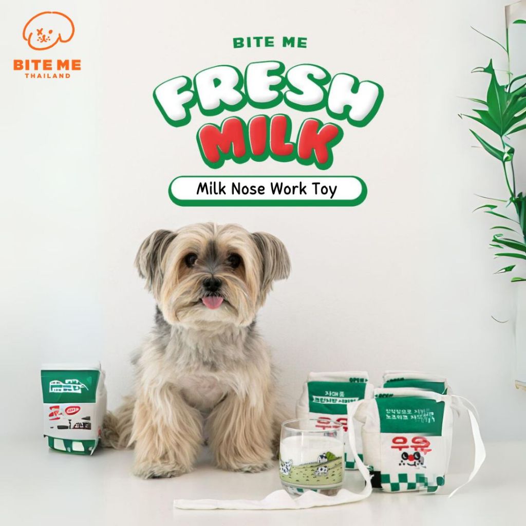 Bite Me Milk Nosework Toy ของเล่น รูปแบบกล่องนม สำหรับสัตว์เลี้ยง นำเข้าจากเกาหลี🇰🇷