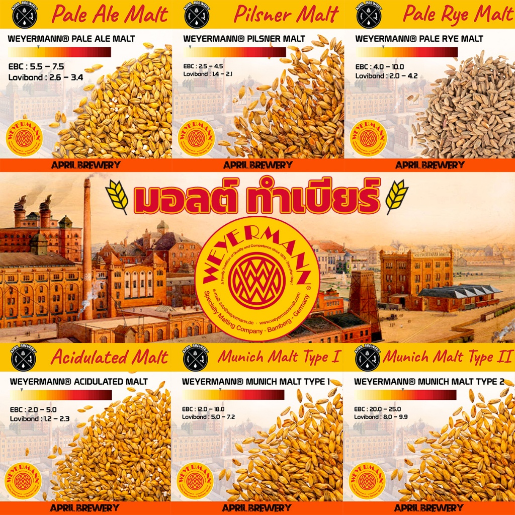 มอลต์ ทำเบียร์ WEYERMANN Pale Ale Malt / Wheat Malt / Pilsner Malt / Vienna Malt / Munich Malt / Mel
