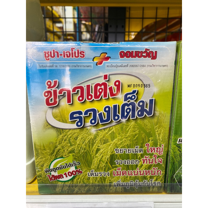 ฮอร์โมนพืช#ข้าวเต่ง รวงเต็ม #เม็ดใหญ่ น้ำหนักดี*ขนาด500ซีซี