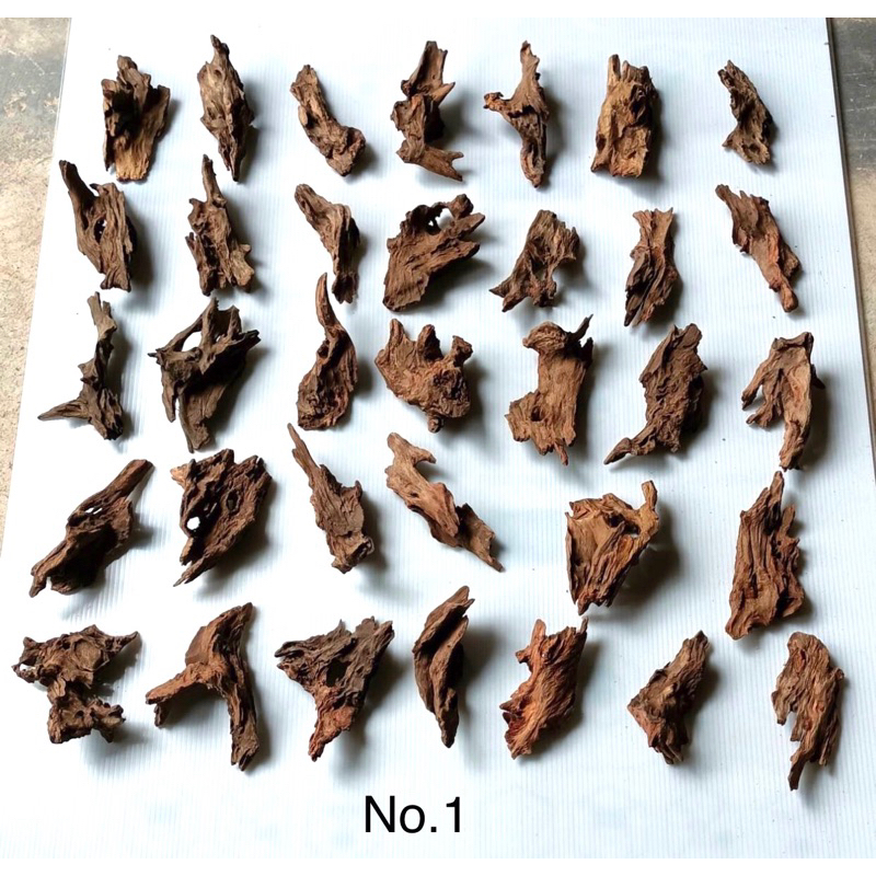 รากไม้ เศษไม้ 50 ชิ้น 20 ชิ้น ตกแต่งตู้ปลา ตู้สัตว์เลี้ยง สวนถาด บอนไซ DIY drift wood