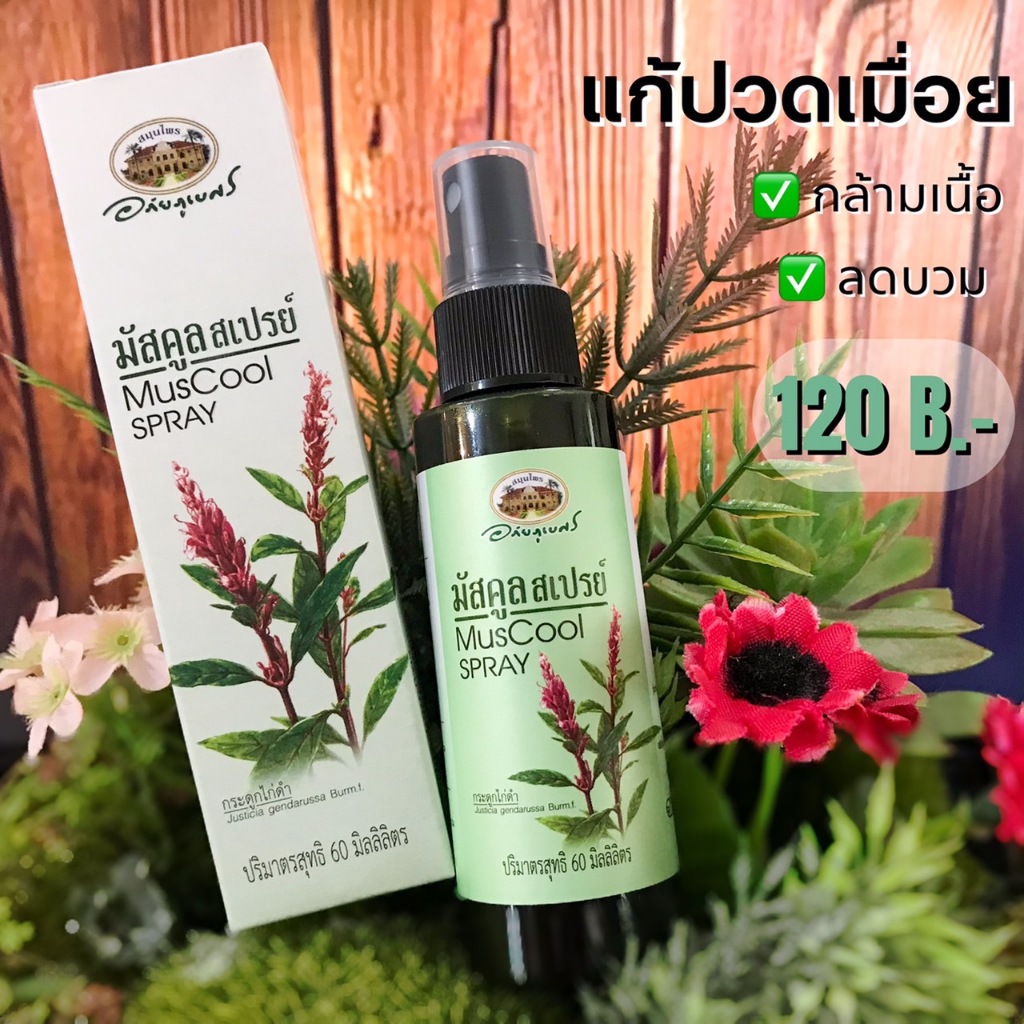 อภัยภูเบศร สเปรย์แก้ปวด มัสคูลสเปรย์ กระดูกไก่ดำ ปวดกล้ามเนื้อ ปวดเมื่อยตามร่างกาย บรรเทาอาการปวด