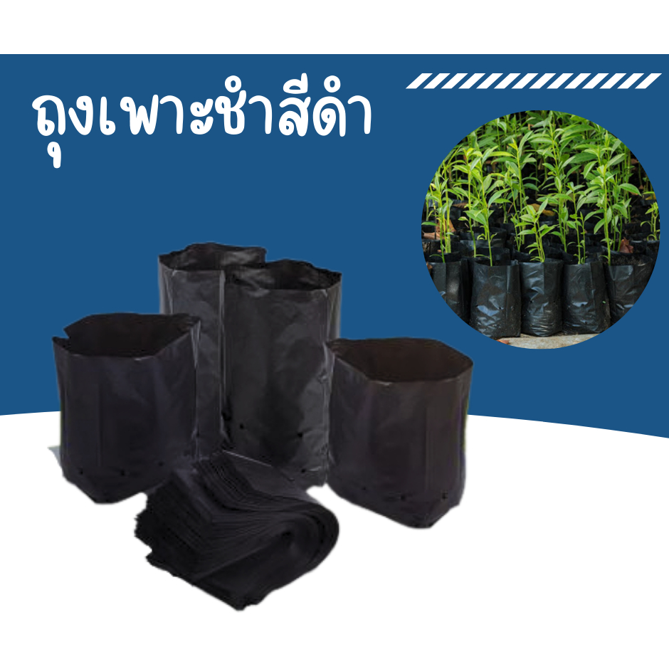 ถุงเพาะชำ ถุงดำเจาะรู ปลูกต้นไม้ ดอกไม้ สีดำแบบเจาะรู (ขายเป็นโล)(หน่วย นิ้ว)