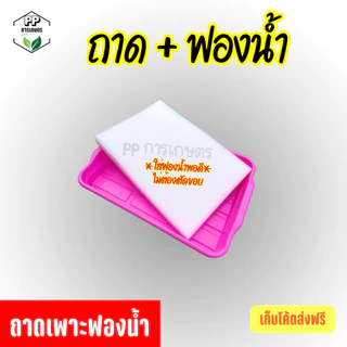 ถาดเพาะต้นกล้า ถาดเพาะผักไฮโดรโปนิกส์ ถาดเพาะเมล็ด ใส่ฟองน้ำได้พอดี (*คละสี*)