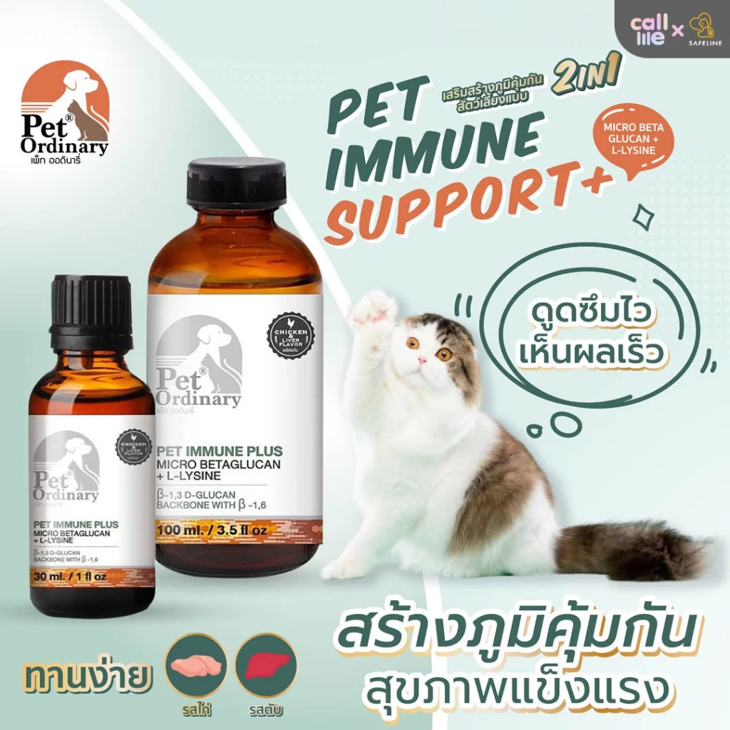 Pet Ordinary Immune Plus+ วิตามินกระตุ้นภูมิคุ้มกัน แมวและสุนัข อาหารเสริม เสริมภูมิคุ้มกันสัตว์เลี้ยง