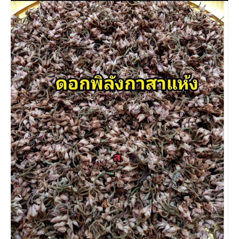 ดอกพิลังกาสา ตากในร่ม3วันแล้วเข้าโรงอบพลาสติก ปลอดสาร100%