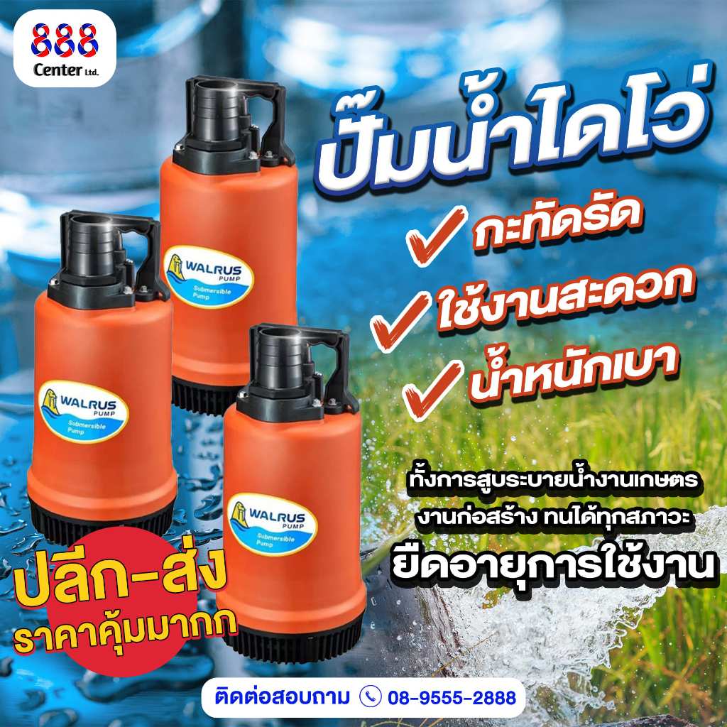 ❤️ไดโว่วอลลัช ของแท้ ปั๊มแช่วอลลัช ไดโว่ ปั๊มดูดน้ำ ปั๊มจุ่ม WALRUS ปั้มจุ่มแมวน้ำ 2 นิ้ว และ1.1/2 น