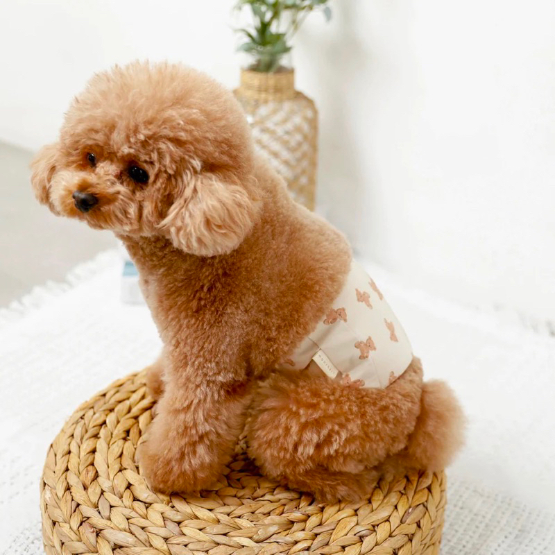 Kuma san obi moncheri โอบิสุนัข ที่คาดเอวกันฉี่สำหรับสุนัข แบรนด์ moncheri ของแท้จากญี่ปุ่น