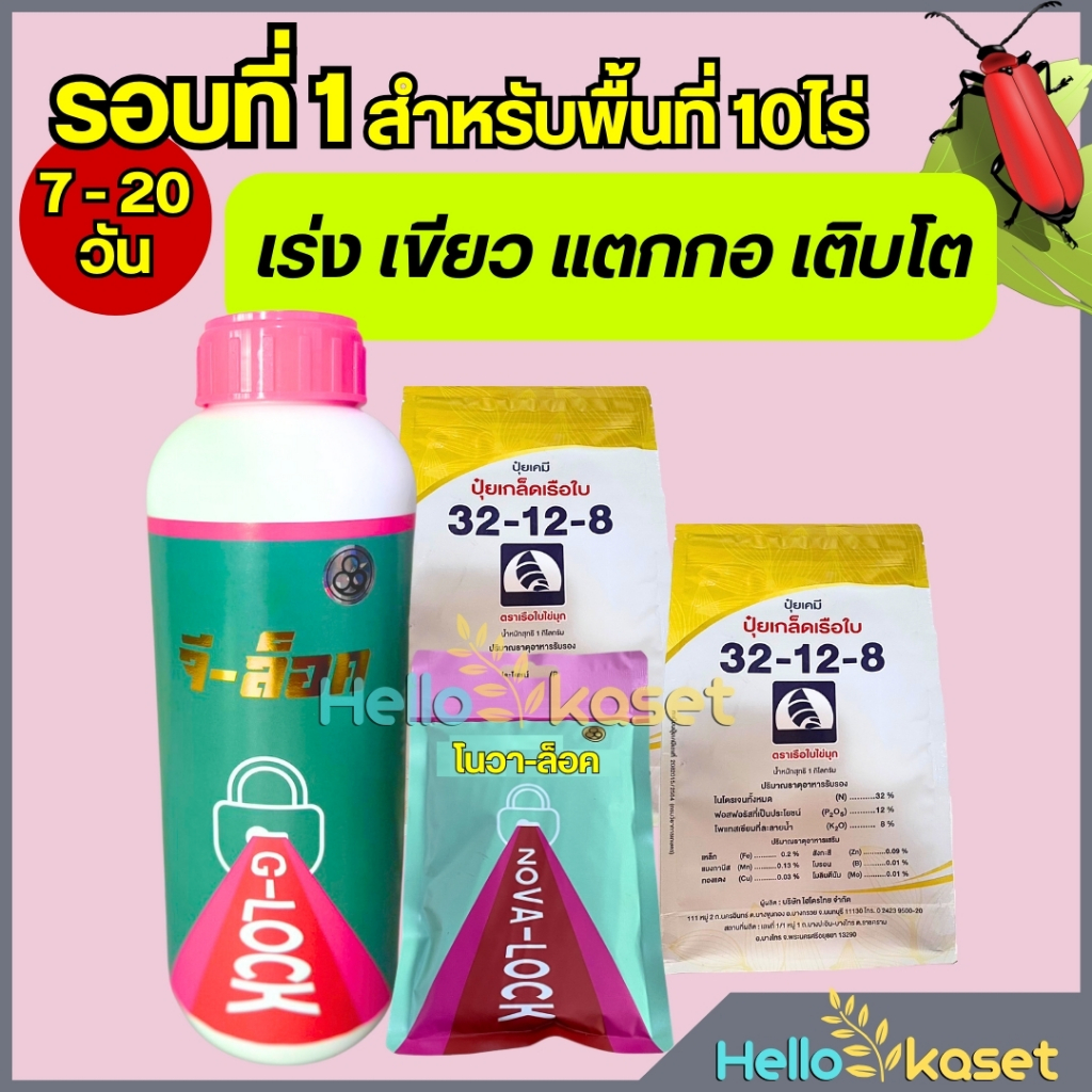 ชุดบำรุงข้าวโพด เร่งต้น เร่งโต เขียวไว เขียวทน แตกกอ ระยะ 7-20 วัน ชุด 10 ไร่