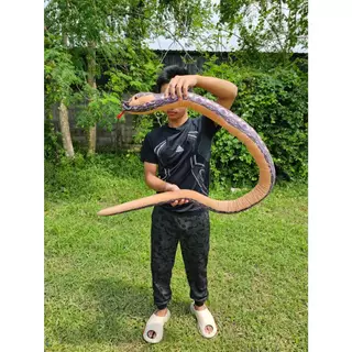ตุ๊กตางูขนาดยาว170เซ็น