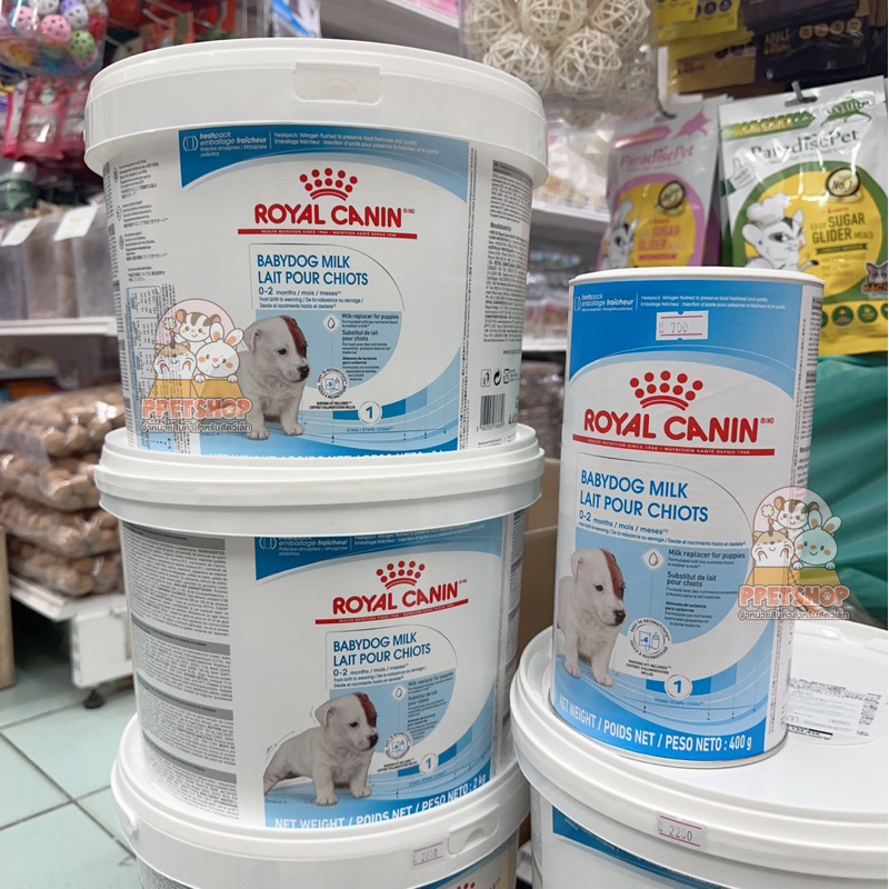 ใหม่ Royal Canin นมหมา โรยัลคานิน สำหรับสัตว์เลี้ยง ชูการ์ไกลเดอร์