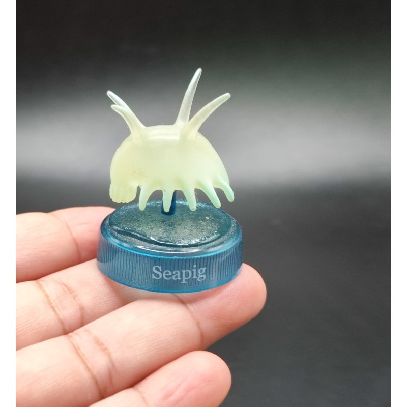 Seapig  หมูทะเล สัตว์จิ๋ว ฟิกเกอร์ ปลิงทะเลลึก  Kaiyodo Deep Sea scotoplanes fish figure Bottle cap