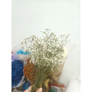 ดอกสุ่ย ดอกไม้แห้ง มีหลายสีสูง30ซม.พร้อมส่ง