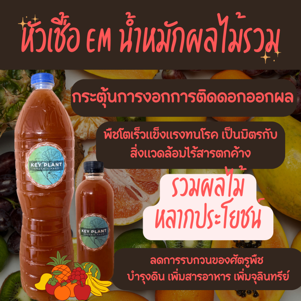 น้ำหมักผลไม้รวม เร่งโตพืชแข็งแรงเพิ่มติดดอกออกผล ปรับสมดุลดินเพิ่มจุลินทรีย์ ปุ๋ยอินทรีย์ออแกนิก