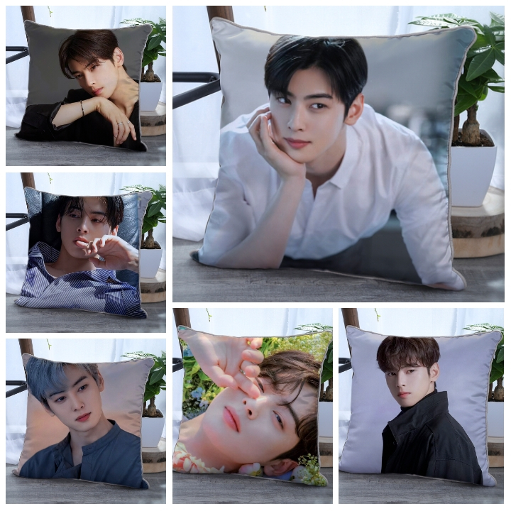Pre Order 💕 หมอน ชาอึนอู Cha Eun Woo ‼️รอของ25-30วัน