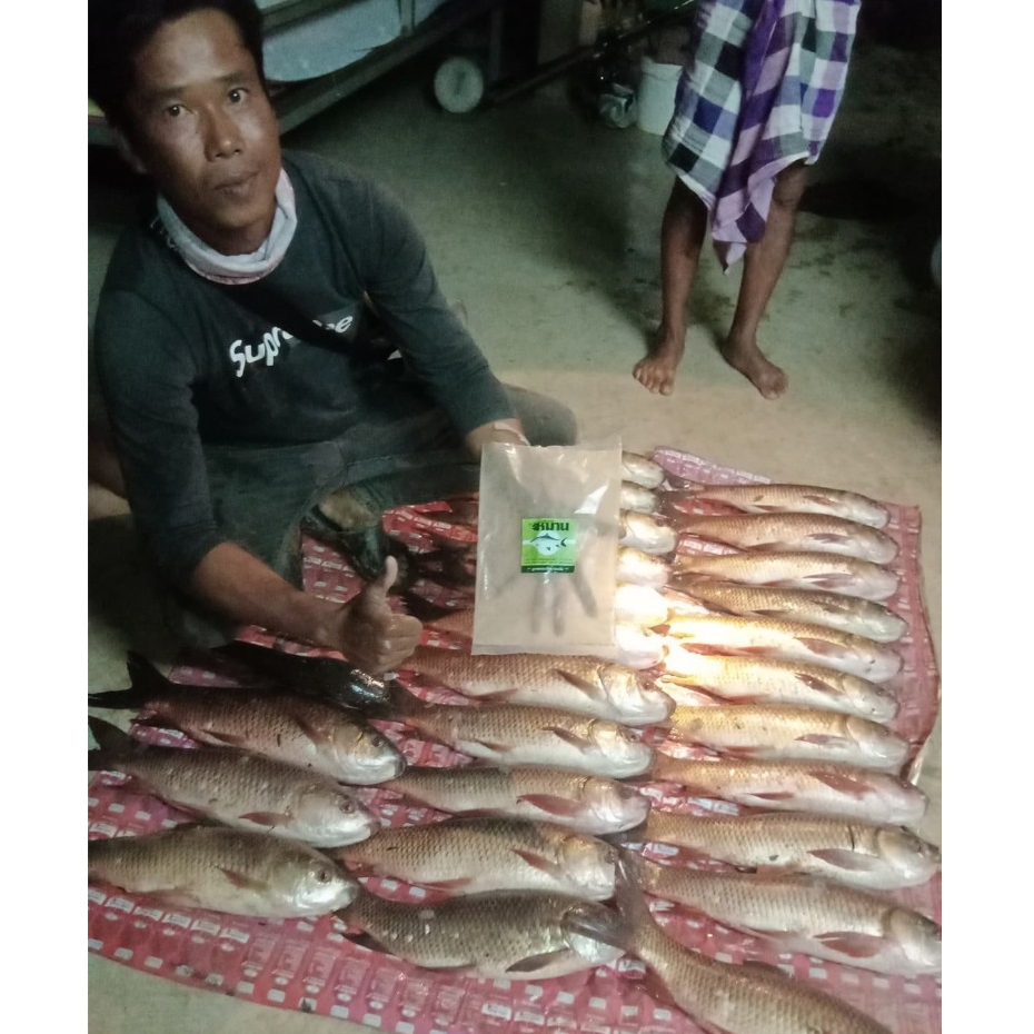 เหยื่อหมาน เหยื่อตกปลาหน้าดิน สูตรยี่สก/ปลาจีน หัวเชื้อเข้มข้น ชุด 2 ถุง (0.8กก.) - รูปที่ 5