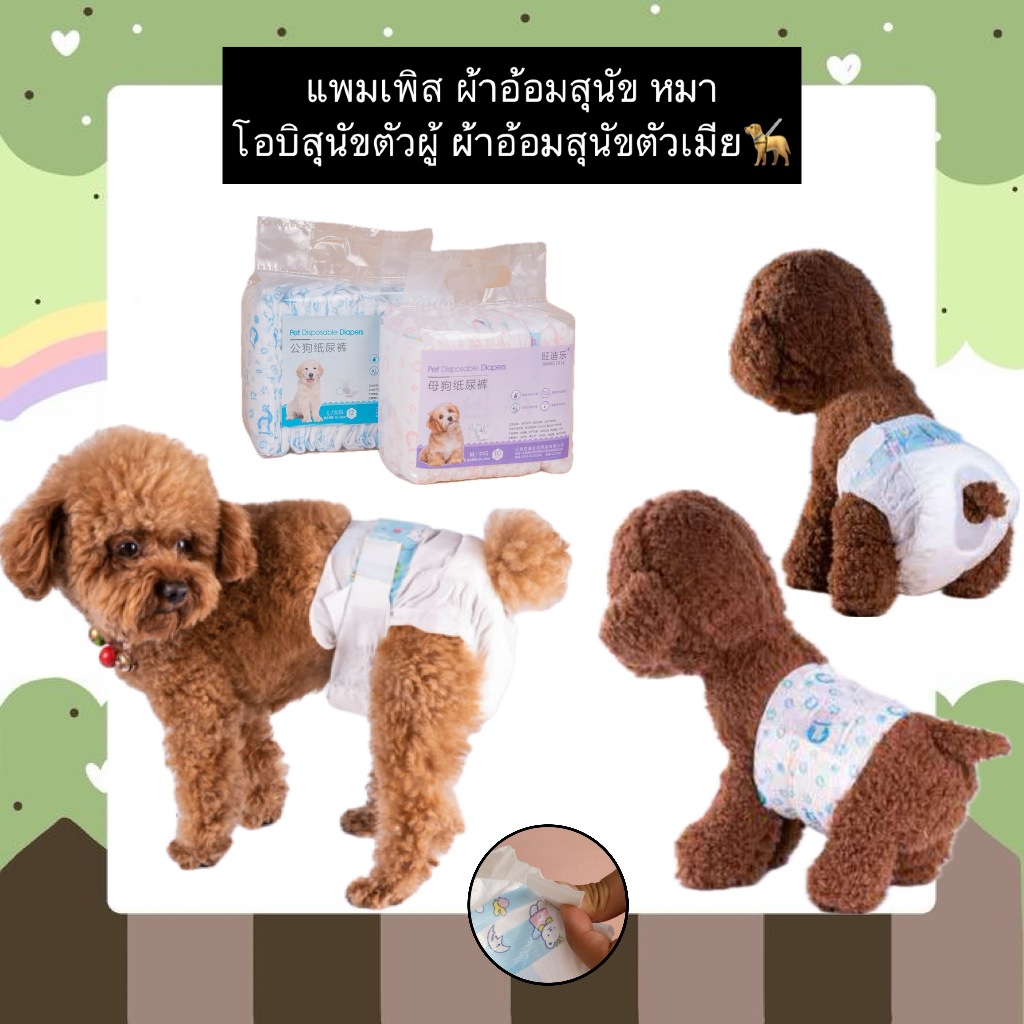 AL-339 แพมเพิส ผ้าอ้อมสุนัข หมา โอบิสุนัขตัวผู้ ผ้าอ้อมสุนัขตัวเมีย แบบสวมใส่ ราคาถูก พร้อมส่ง