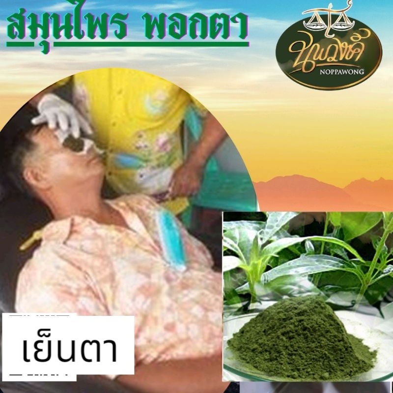สมุนไพรพอกตา ลดตาร้อน ความดันลูกตา