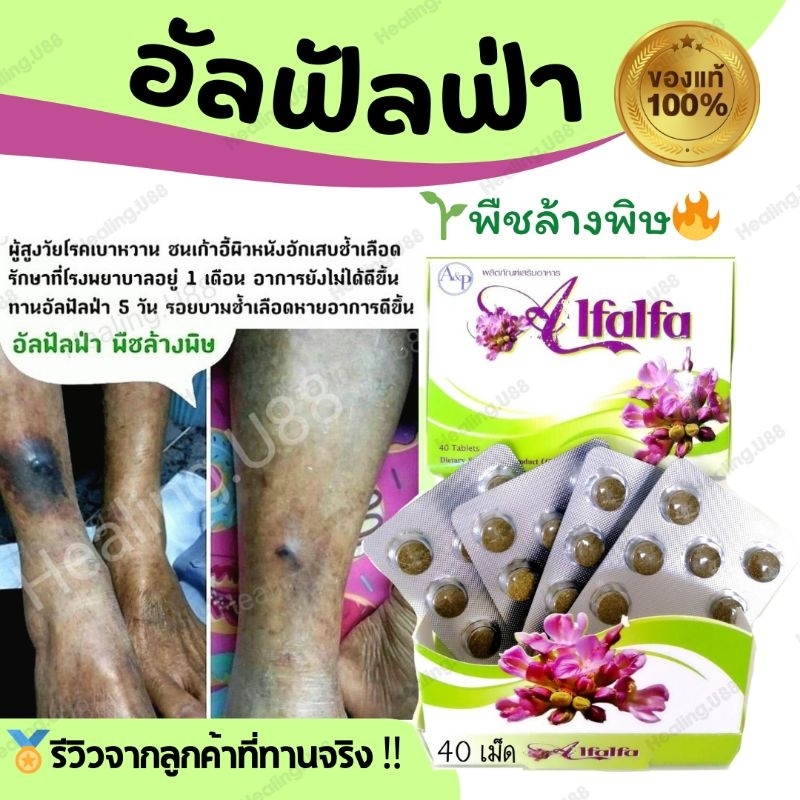 แท้ % ขายดี รีวิวเพียบ อัลฟัลฟ่า Alfalfa EXP:2026 ล้างพิษ​ Detox ผิวใส สิว ล้างลำไส้ ดีท็อกซ์​ กรดไหลย้อน อัลฟาฟ่า..