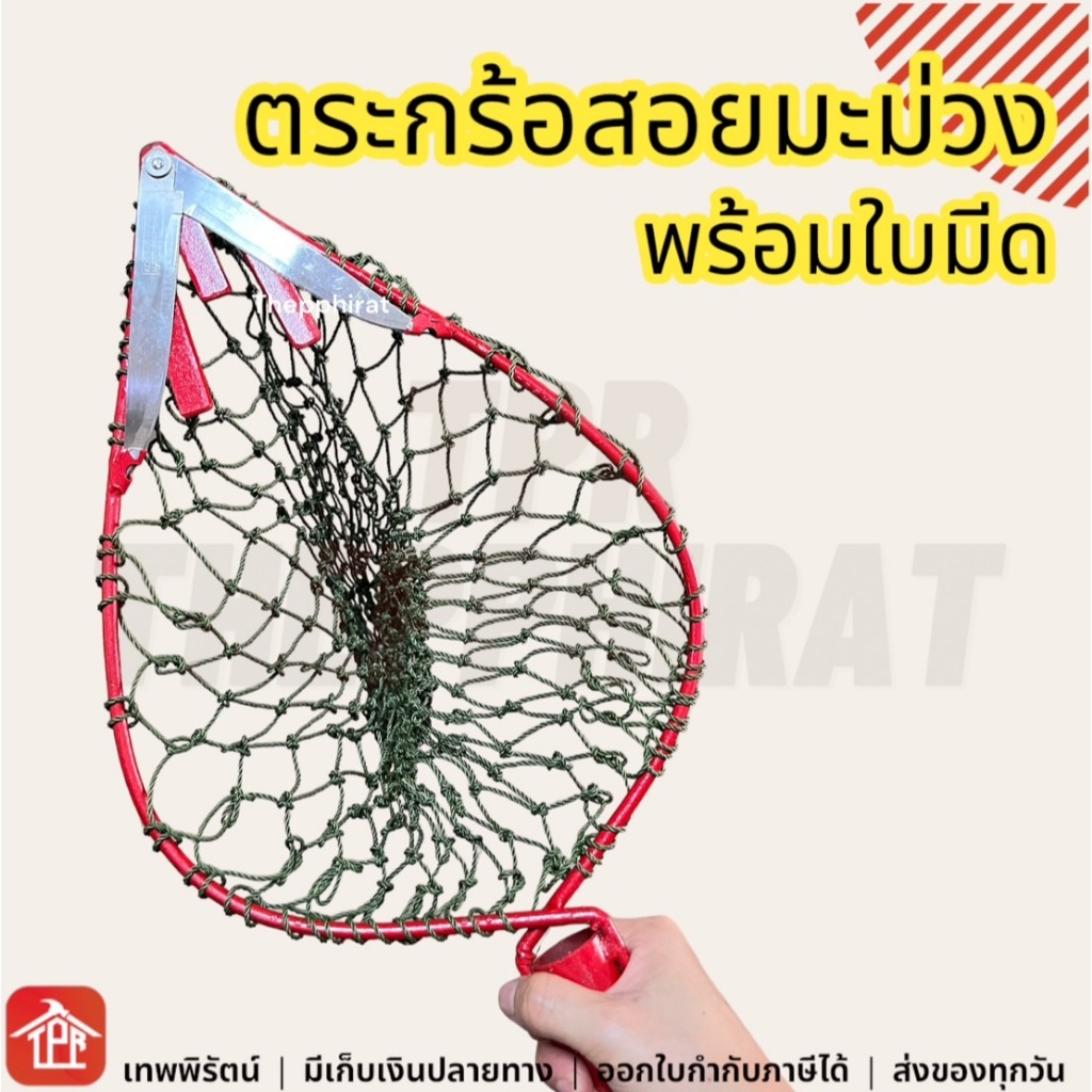 ตะกร้อสอยผลไม้ หัวตะกร้อ ตะกร้อเหล็ก ตะกร้อสอยมะม่วง เล็ก ใหญ่