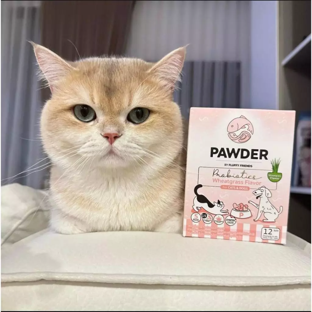 Pawder Probiotics อาหารเสริมโพรไบโอติกส์ ผสมสารสกัดต้นข้าวสาลีอ่อน สำหรับสุนัขและแมว ผลิตและนำเข้าจากไต้หวัน thumbnail 9