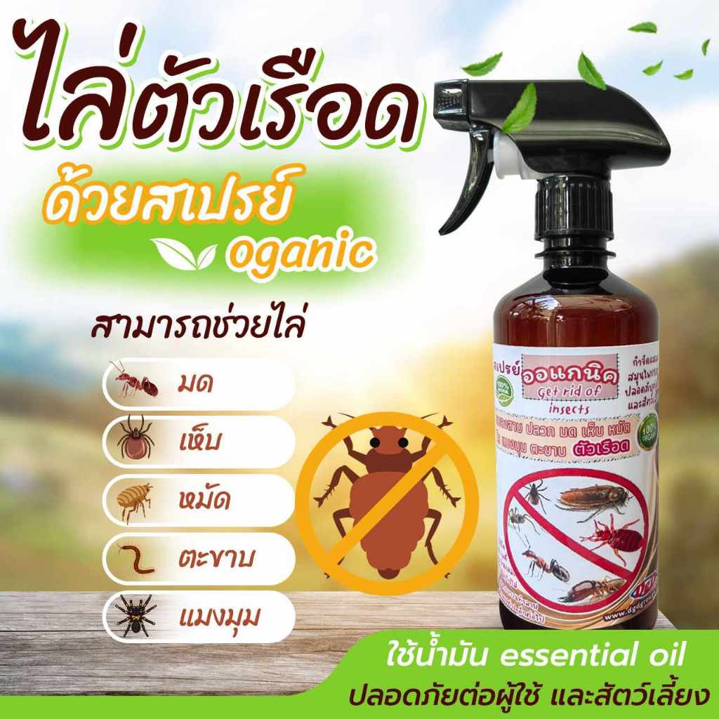 สเปรย์ไล่ ตัวเรือด สมุนไพรป้องกันตัวเรือด (RR) ตัวริ้น ตัวไร ไรฝุ่น ตัวเหา เห็บหมัดบนที่นอน โซฟา ใต้พรม ชนิดออแกนิค